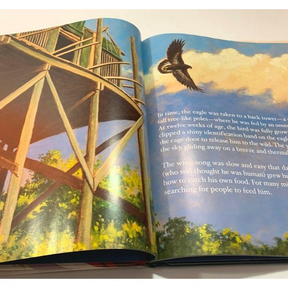 Challenger Americas Favorite Eagle Margot Raven 2005 Bald Eagle Reference - Picture 4 of 12